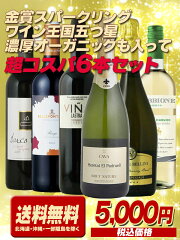 https://thumbnail.image.rakuten.co.jp/@0_mall/wines-r/cabinet/set/06489425/set6p_cospasp14.jpg