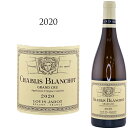 シャブリ グラン クリュ ブランショ 2020 ルイ ジャド Louis JADOT CHABLIS GRAND CRU BLANCHOT Chardonnay 750ml 特級畑 ブルゴーニュ シャブリ 白ワイン