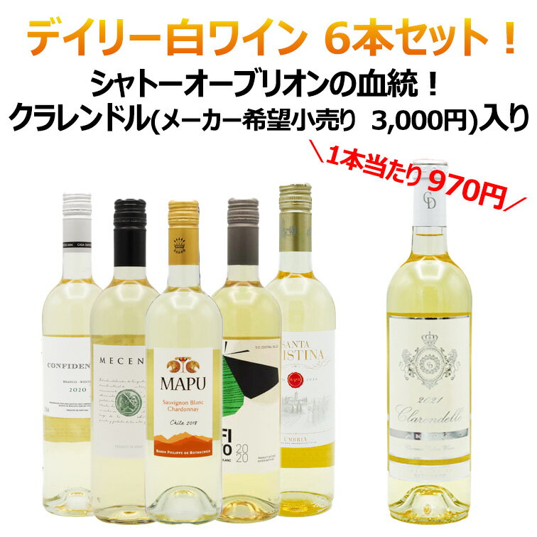 楽天青山ワインマーケット【6本セット】デイリーワイン 白 セット 750ml 飲み比べ お得 福袋 ワインセット クラレンドル