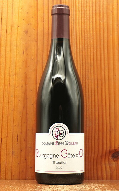 ブルゴーニュ コートドール リウ ディ ムティエ ルージュ 2022 蔵出し作品 ドメーヌ リップ ボワロー元..