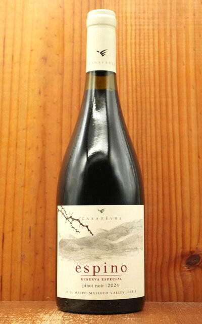 エスピノ ピノノワール 2024 ウイリ�
