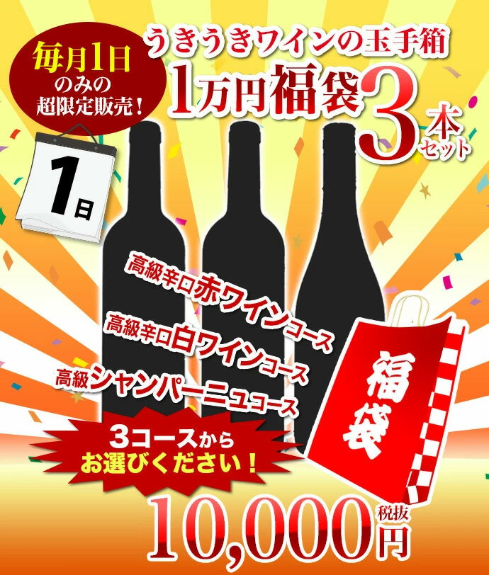 毎月1日のみの超限定販売！うきうきワインの玉手箱渾身1万円福袋！辛口赤コース 辛口白コース 辛口シャンパーニュコースの3種類販売 ワ..