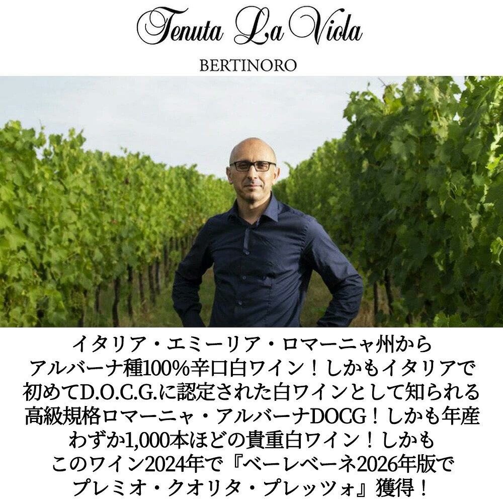 【エントリーでポイント10倍】フランジパーネ ロマーニャ アルバーナ セッコ 2024 テヌータ ラ ヴィオラ元詰(ステファーノ ガベリーニ氏) 自然派Frangipane Romagna Albana Secco 2024 Tenuta La Viola wineuki-10057129 うきうきワインの玉手箱 サンプル画像3