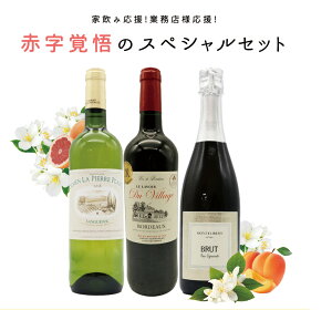 【送料無料】家飲み応援！業務店様応援！コロナに負けるな！ワインの玉手箱厳選！赤字覚悟の応援スペシャル赤・白・泡ワインセット【残り9本まで同梱可】