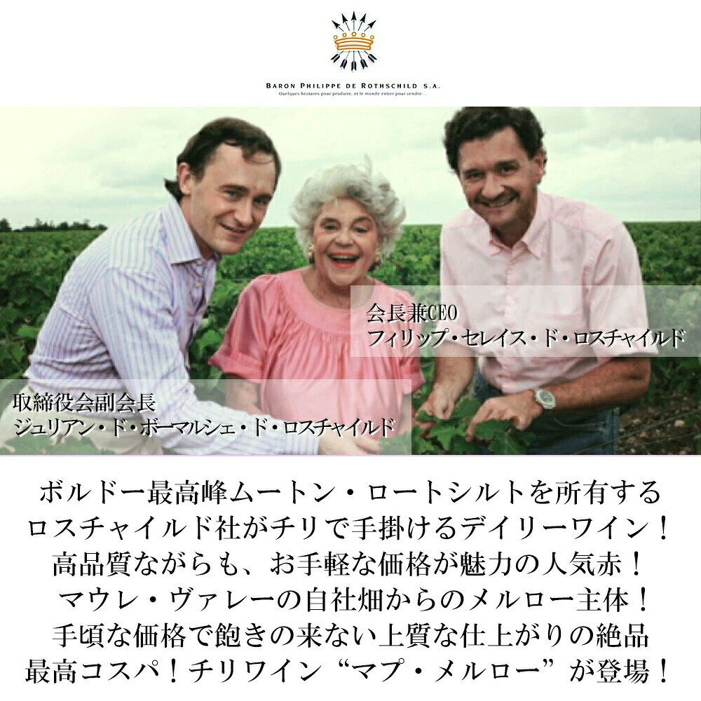 バロン フィリップ マプ メルロー 2024 バロン フィリップ ド ロスチャイルド マイポ チリ チリ セントラル ヴァレーMapu Merlot [2024] Baron Philippe de Rothschild Maipo Chile wineuki-10052683 うきうきワインの玉手箱 サンプル画像3