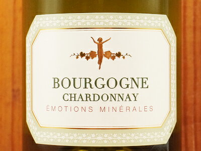 ブルゴーニュ シャルドネ 2023 ラ シャブリジェンヌ元詰 AOCブルゴーニュ シャルドネ 辛口 白 フランスBourgogne Chardonnay 2023 La Chablisienne AOC Bourgogne Chardonnay wineuki-10048214 うきうきワインの玉手箱 サンプル画像2