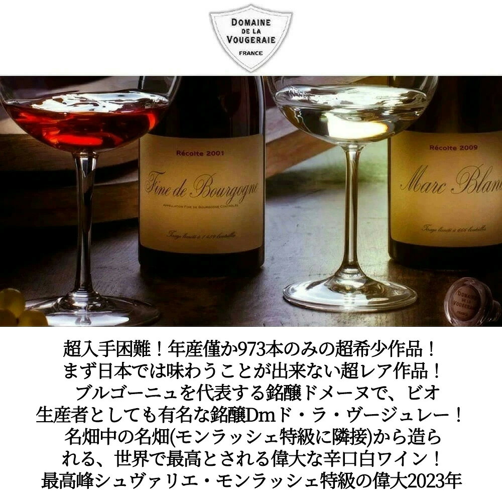 【エントリーでポイント10倍】シュヴァリエ モンラッシェ グラン クリュ 特級 2023 超限定蔵出し品 ドメーヌ ド ラ ヴージュレー元詰 自然派 正規品Chevalier Montrachet Grand Cru 2023 Domaine de la Vougeraie wineuki-10057245 うきうきワインの玉手箱 サンプル画像3