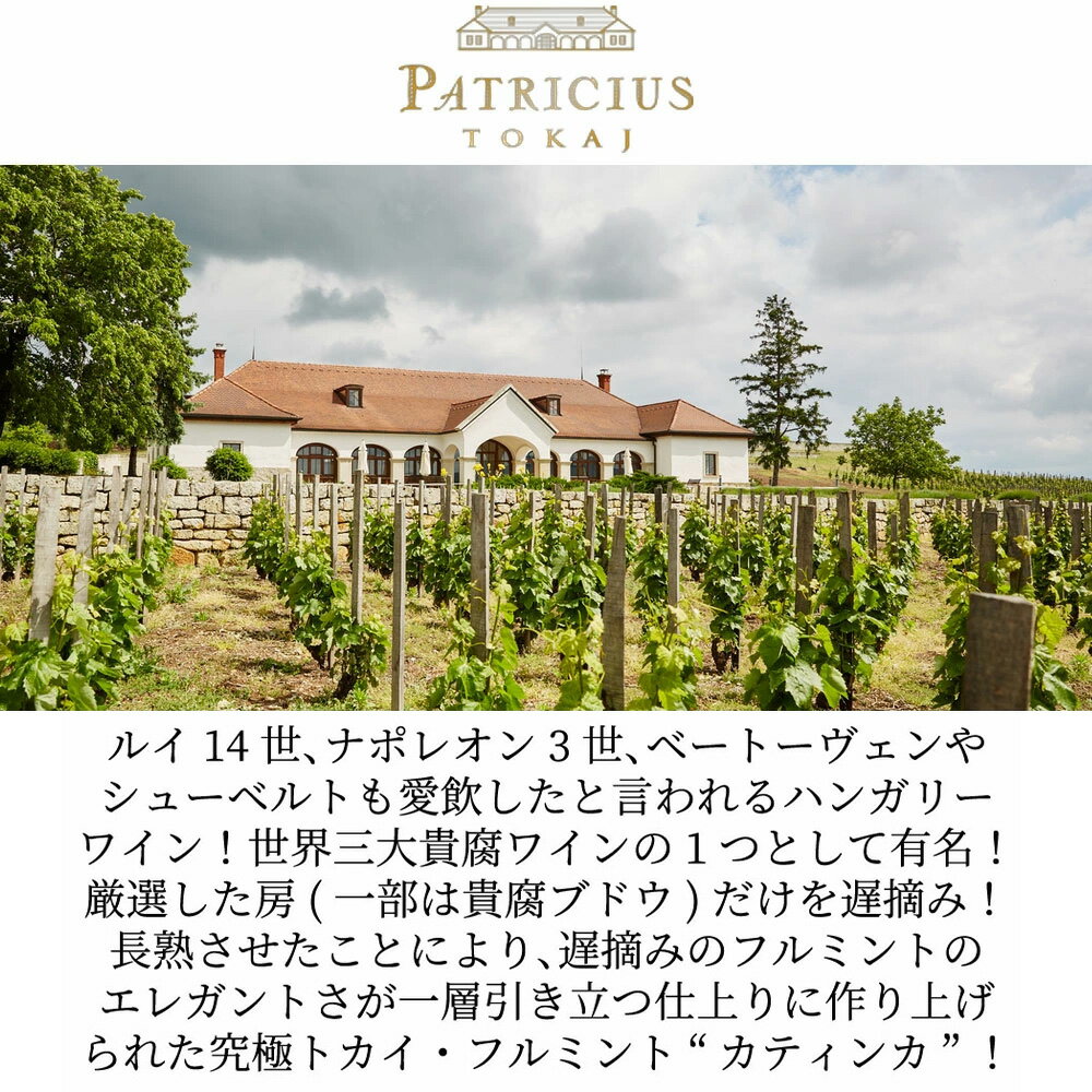 �ڥϡ��ե������ۥȥ��� �ե�ߥ�� �쥤�� �ϡ��٥��� ���ƥ��� 2023 ¢�Ф� �ѥȥꥷ���� DHC�ȥ��� �ե�ߥ�ȼ�����������ߥ她�������������PATRICIUS Katinka Tokaji Furmint Late Harvest 2023