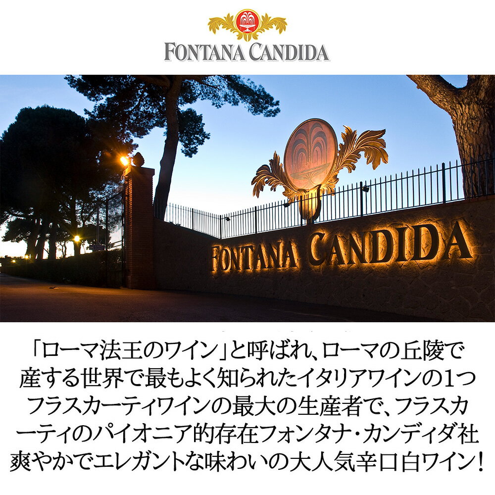 【ハーフサイズ】フラスカーティ セッコ 2024 フォンタナ カンディダ社 DOCフラス...