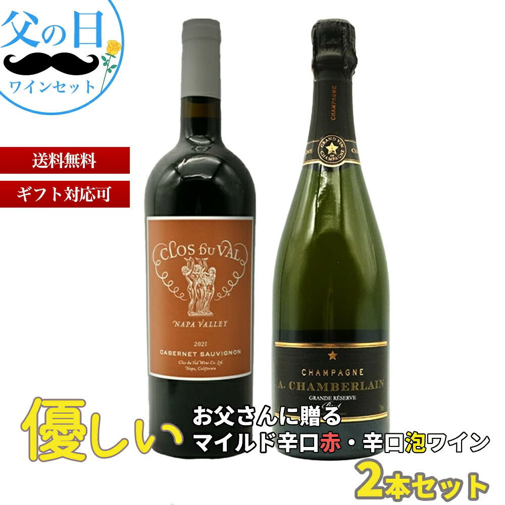 【送料無料】優しいお父さんに贈るマイルド辛口赤・辛口泡ワイン2本セット( 父の日 ワインセット ワイン セット 飲み比べワイン ギフト )