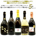 yzC^AXp[NOIVp[j@̃V`AV.T荂SɎ|hXp[NOݔ5{ZbgSpecial Itarian Sparkling Wine 5 Set CZbg