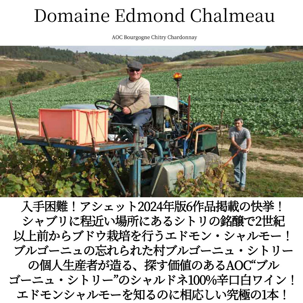 ブルゴーニュ シトリ シャルドネ 2023 蔵出し作品 ドメーヌ エドモン シャルモー元詰 AOCブルゴーニュ シトリ ブラン 正規品Bourgogne Chitry Chardonnay 2023 Domaine Edmond Chalmeau wineuki-10058298 うきうきワインの玉手箱 サンプル画像3