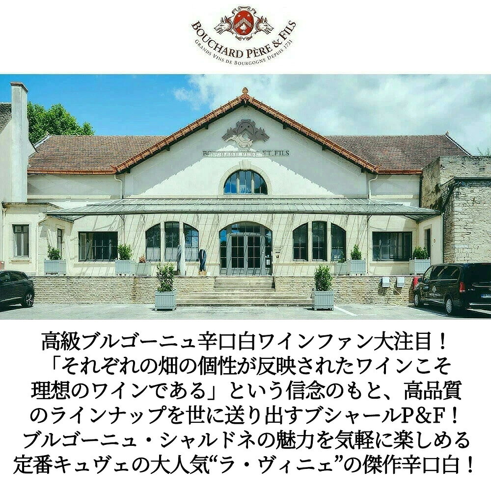 ブルゴーニュ シャルドネ ラ ヴィニェ 2021 ブシャール ペール エ フィス 正規代理店輸入品 AOC ブルゴーニュ シャルドネBourgogne Chardonnay La Vignee 2021 Bouchard Pere & Fils wineuki-10058424 うきうきワインの玉手箱 サンプル画像3
