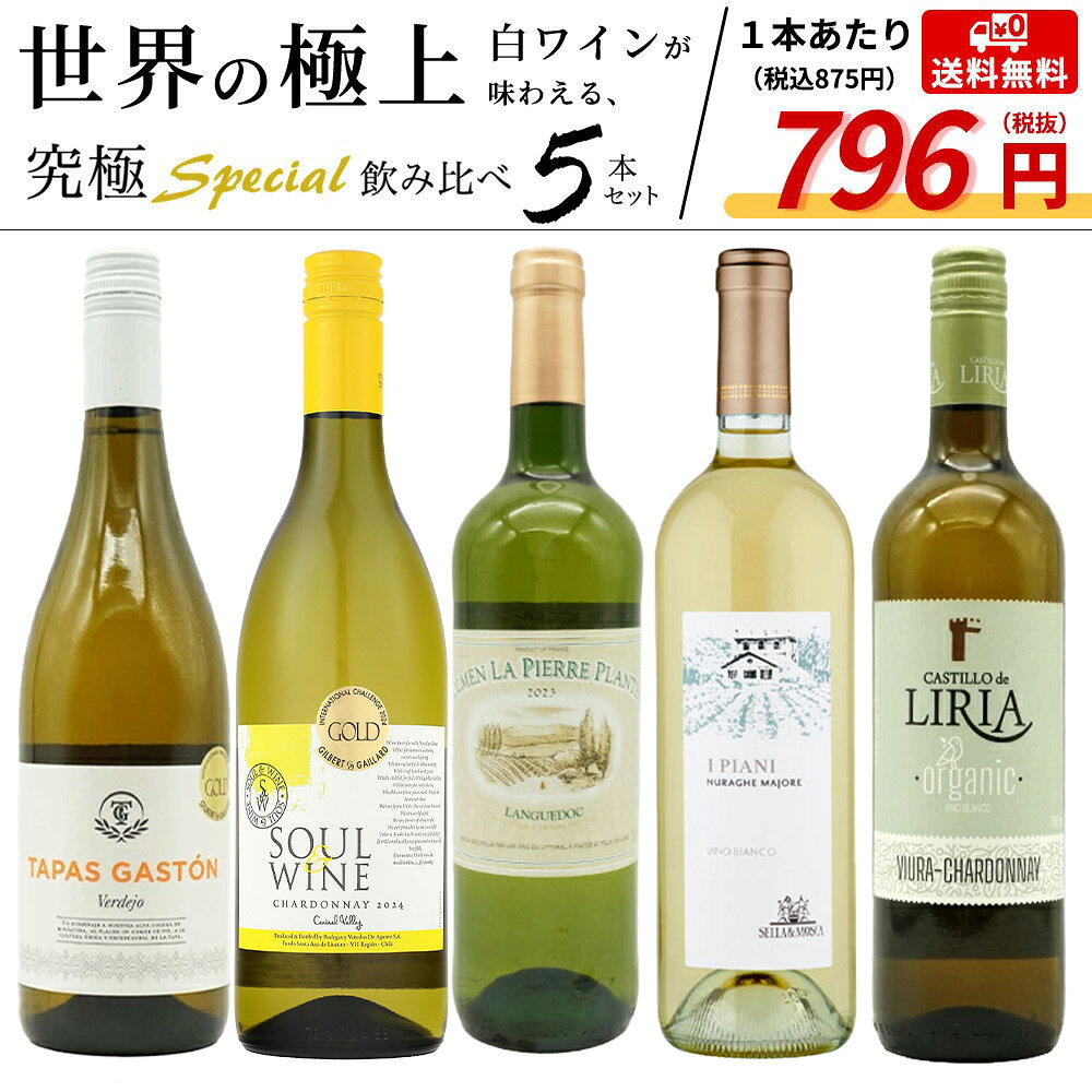 【送料無料】当店厳選！世界の白ワインが味わえる！超極上辛口白ワイン究極スペシャル飲み比べ5本セット