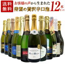 【送料無料】お客様のお声から生まれた待望の贅沢辛口スパークリングワイン12本セット (高級シャンパーニュ入り) ワインセット