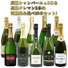 【11月2日以降の出荷】【送料無料】高級シャンパーニュ5本&高級クレマン5本の究極飲み比べ10本セット(1本あたり驚愕1,998円(税抜)で味わえる!)UKIUKI Special SET