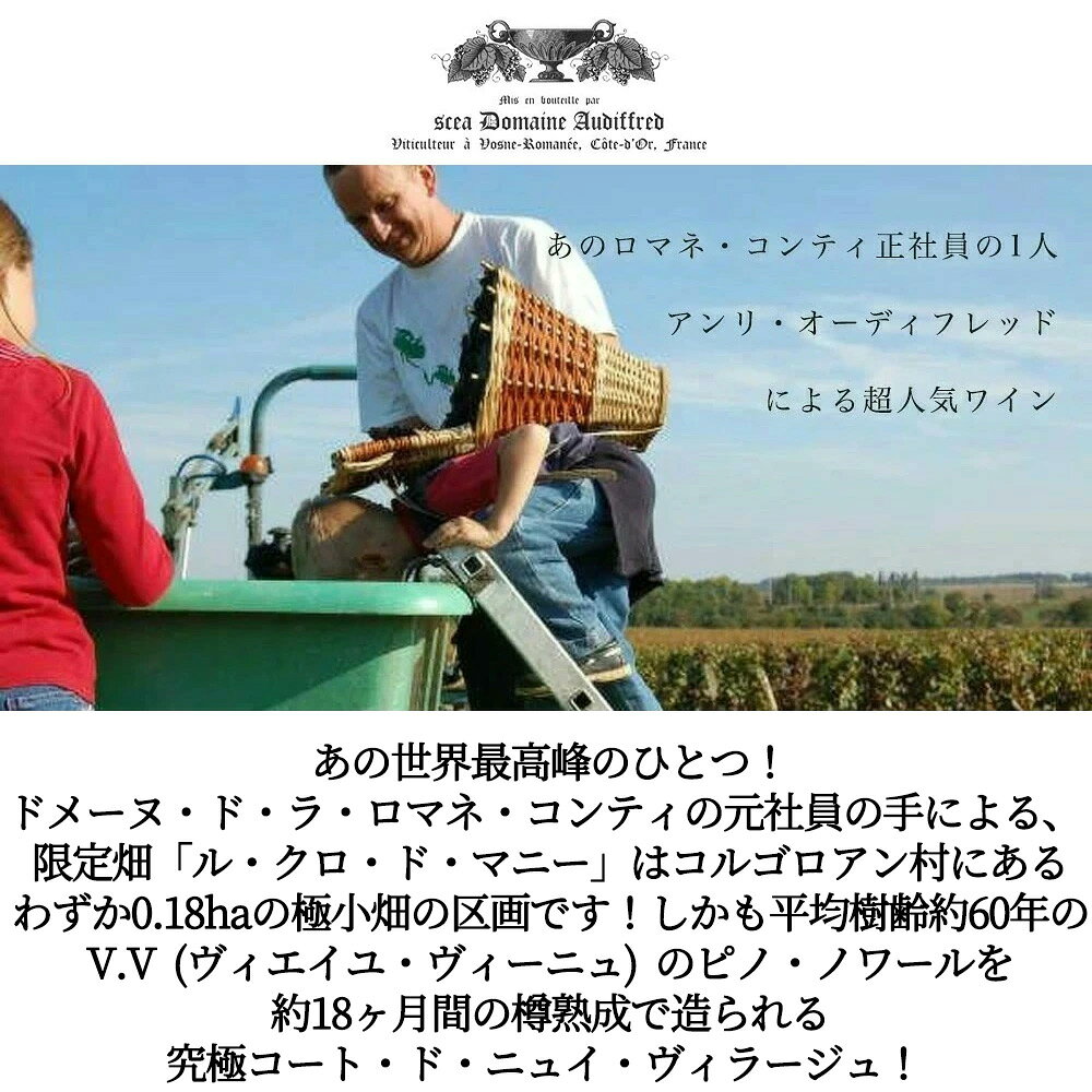 コート ド ニュイ ヴィラージュ ル クロ ド マニー ルージュ 2023 蔵出し作品 ドメーヌ オーディフレッド元詰 (世界最高峰ロマネ コンティの元社員) Cotes de Nuits-Villages Le Clos de Magny Rouge 2023 Domaine Audiffred wineuki-10056115 うきうきワインの玉手箱 サンプル画像3
