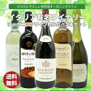 【送料無料】オーガニック イタリアワイン 自然派オーガニックワインがたっぷり味わえる 辛口赤2本 白2本 泡1本の飲み比べ5本セット! ワインセット