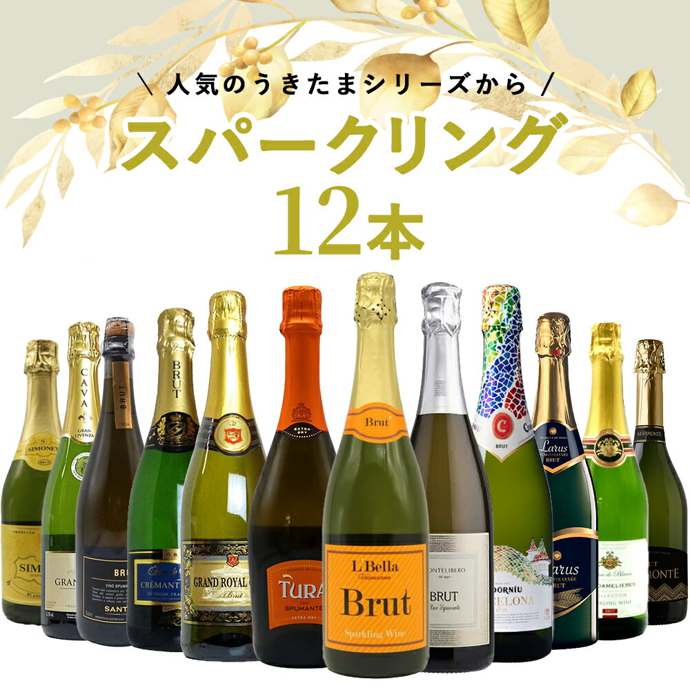 スパークリング3大上級産地　飲み比べセット750ml×3　【フランス・シャンパーニュ　イタリア・フランチャコルタ　イギリス・イングリッシュスパークリング】