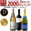 【よりどり4セットご購入で送料無料 A〜Jセット(全10種)】うきうきワインの玉手箱厳選!お値段以上の価値お約束!スタッフ厳選2000円シリーズワインセット(赤...