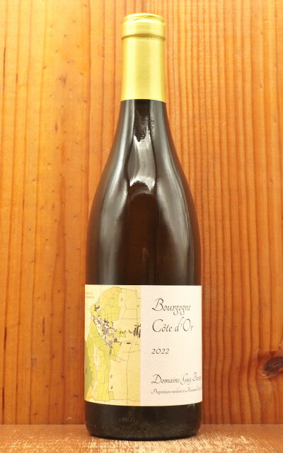 ブルゴーニュ ブラン コート ドール 2022 蔵出し作品 ドメーヌ ギィ ボカール元詰 自然派 有機オーガニック RVF誌2025年版で90点獲得 Bourg...