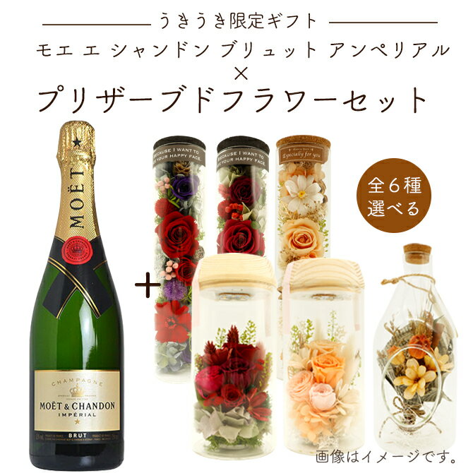 【うきうき限定ギフト】モエ エ シャンドン ブリュット アンぺリアル&選べる プリザーブドフラワーセット 花 フラワー ギフト プレゼント 贈り物 誕生日 お祝い 内祝い 母の日 ワイン 花 セット