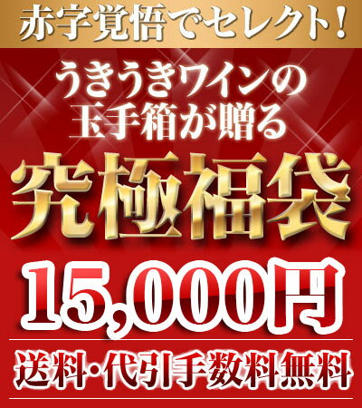 【送料・代引手数料どどんと当店負担！】うきうきスーパーセール限定福袋うきうき福袋1万5千円de辛口赤ワイン10本セット