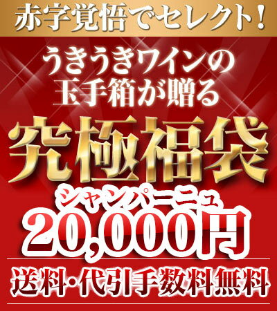 【送料・代引手数料どどんと当店負担！】 うきうきスーパーセール限定福袋うきうき福袋2万円de超希少シャンパーニュ4本セット