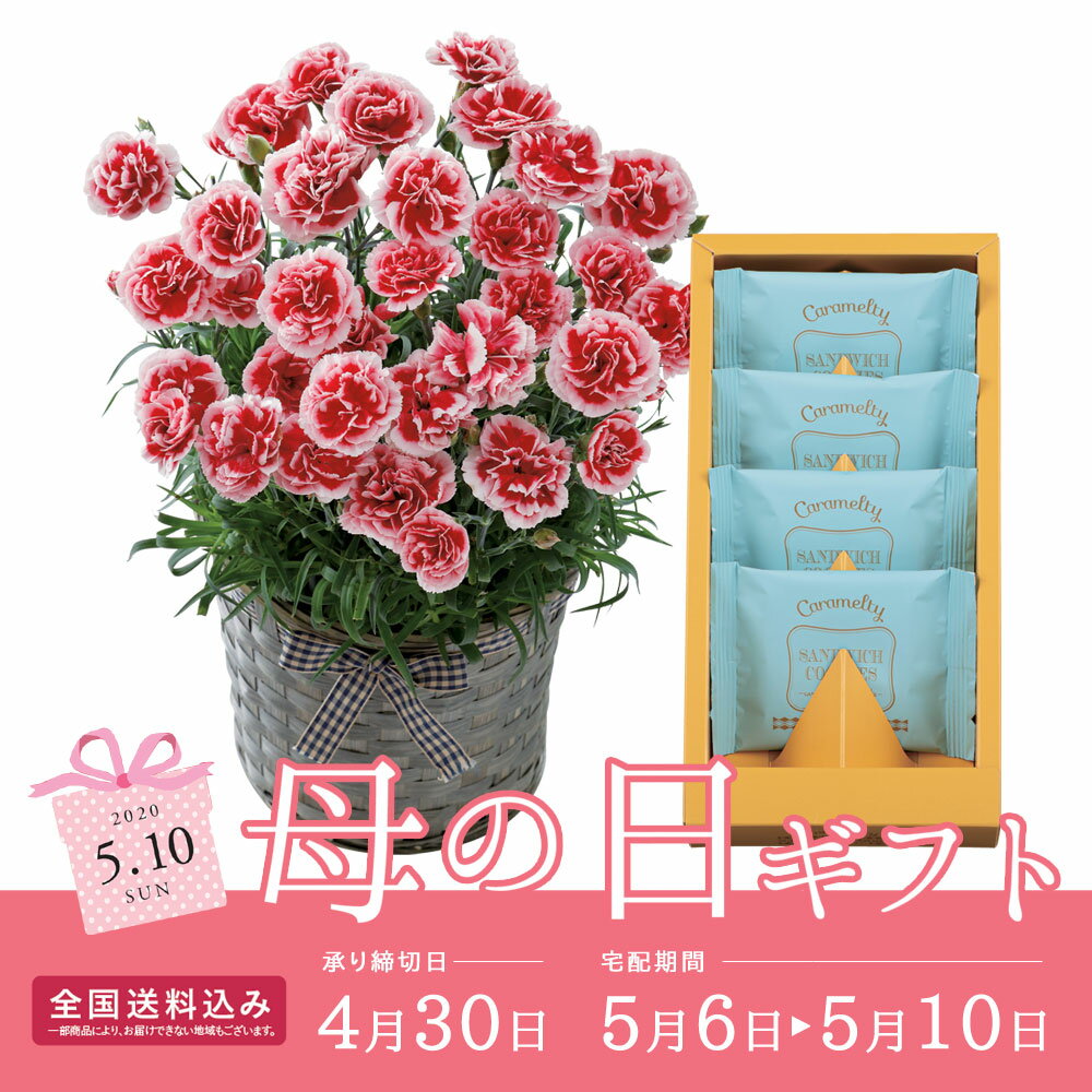 【送料無料】【母の日 2020】カーネーション（いちごホイップ）＆「神戸風月堂」キャラメルティR40-13