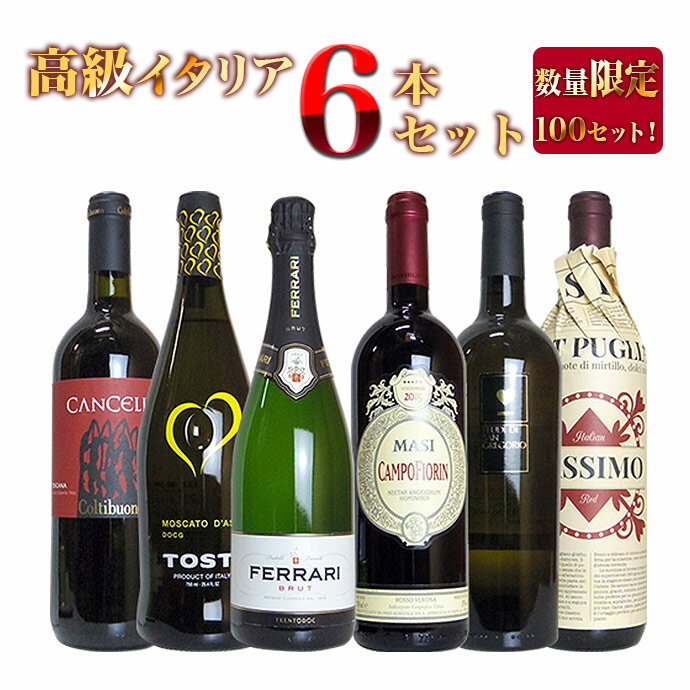 【送料無料】イタリアを代表する銘醸造り手の高級イタリアワイン豪華6本飲み比べセット(赤3本＋白1本＋泡2本) 750ml×6本Special Italian Wine 6 Set