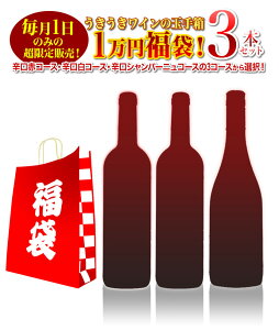 【送料無料】毎月1日のみの超限定販売！うきうきワインの玉手箱渾身1万円福袋！辛口赤コース 辛口白コース 辛口シャンパーニュコースの3種類販売 ワインセット 赤ワイン 白ワイン シャンパーニュ スパークリング 泡