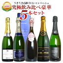 【送料無料】SOY受賞記念大感謝！うきうき高級辛口シャンパーニュ究極飲み比べ豪華5本セット【限定48セットのみ】