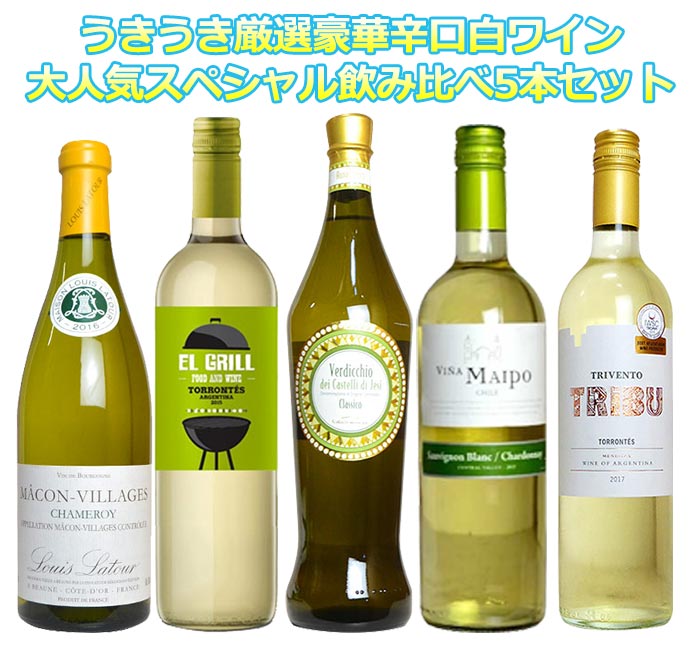 【送料無料】うきうき厳選！超極上辛口白ワイン大人気スペシャル飲み比べ5本セット しかも玉手箱太っ腹！送料無料！もちろん同梱可能【smtb-k】