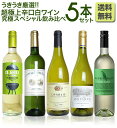 【送料無料】第2弾!うきうき厳選 世界の白ワインが味わえる超...
