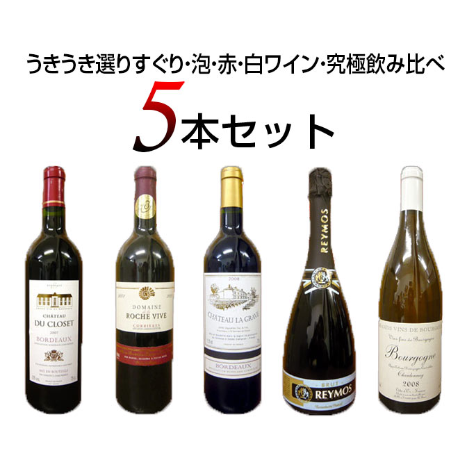 うきうき選りすぐり 泡 赤 白ワイン 究極飲み比べ5本セット しかも宅配料無料！uki uki wine selection