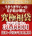 【送料・代引手数料どどんと当店負担！】うきうきスーパーセール限定福袋うきうき福袋3万円de超希少シャンパーニュ5本セット[B]