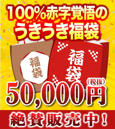 うきうき福袋5万円de辛口赤・白ワイン10本セット【Dセット】ワイン福袋【福袋2024】【初売りセール2024】【年越し特集2023】【YDKG】のサムネイル