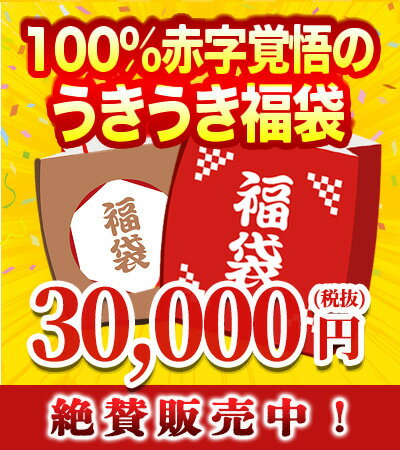 うきうき福袋3万円de辛口赤・白ワイン10本セット【福袋2025】【初売りセール2025】【年越し特集2024】【YDKG】のサムネイル