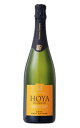 磻ζ̼Ȣ㤨֥ ֥å ʥȥ   ǥʥ (ӥ ǥ ֥åݥ󥯡޼޼(¤ȥ륤 륷 D.OCava Brut Nature HOYA DE CADENAS (Vicente Gandia Concours Mondial Bruxelles Medaille d'Oreu_ffۡפβǤʤ1,364ߤˤʤޤ