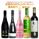 【送料無料】今年のHAPPYハロウィンパーティーはこれで決まり！！世界のハロウィンパーティーワイン飲み比べ5本セット