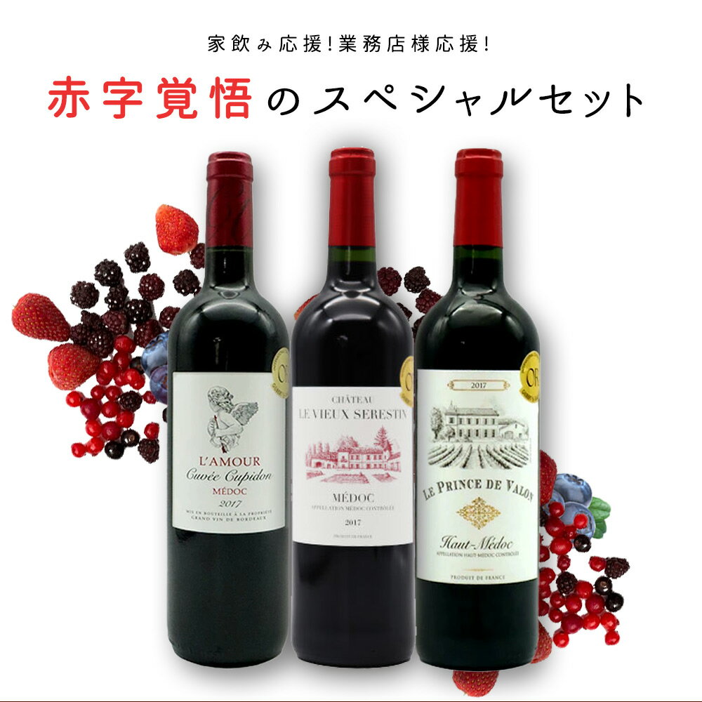 【残り9本まで同梱可】【送料無料】ワイン 赤ワイン ワインセット 家飲み応援！業務店様応援！コロナに負けるな！ワインの玉手箱厳選！赤字覚悟の応援スペシャル赤ワインセット(ボルドー・メドックセット)