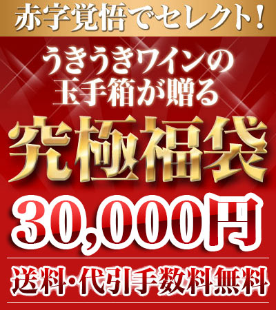 【送料・代引手数料どどんと当店負担！】 うきうきスーパーセール限定福袋うきうき福袋3万円de辛口赤・白ワイン10本セット