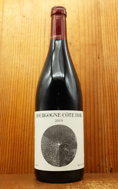 ブルゴーニュ コート ドール ピノ ノワール 2020 蔵出し品 ルイ ジャド社 AOCブルゴーニュ コート ドール 正規代理店輸入品 赤Bourgogne Cote D'OR Pinot Noir 2020 LOUIS JADOT AOC Bourgogne Cote d'or