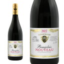 アントワーヌ シャトレ ボージョレ ヌーヴォー 2022ANTOINE CHATELET BEAUJOLAIS NOUVEAU 2022