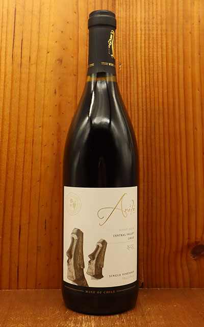 ꥭ ԥ Υ 󥰥 䡼 2022 ˥ 륳 (å) ꥳ 졼  13.5 ֥磻 磻 ɸ ߥǥܥǥ 750mlAriki Single Vineyard Pinot Noir 2022 Vina Ralco (Achurra Family) Curico Valley (Chile)