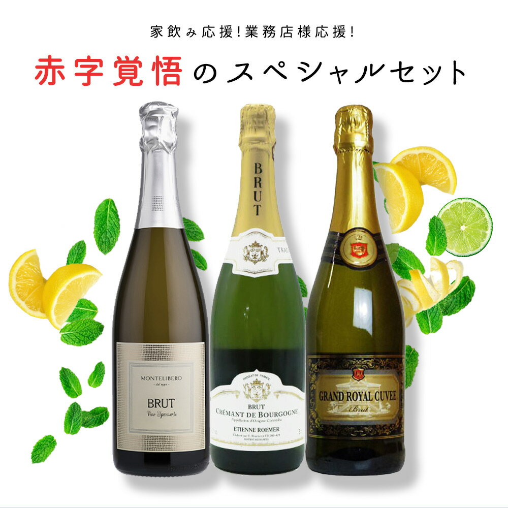 【送料無料】【残り9本まで同梱可】家飲み応援！業務店様応援！コロナに負けるな！ワインの玉手箱厳選！赤字覚悟の応…