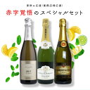 シャンパンのギフト 【送料無料】【残り9本まで同梱可】家飲み応援！業務店様応援！コロナに負けるな！ワインの玉手箱厳選！赤字覚悟の応援スペシャルセット ワインセット