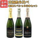 【送料無料】 ワインセット うきうき高級 辛口 有名 メゾン・シャンパーニュ 究極 飲み比べ 豪華スペシャル 3本 セット ワイン UKIUKI GRAND MAISON Champagne Special Set ワインセット うきうきワインの玉手箱 ワインの玉手箱