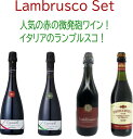 只今ポイント5倍【送料無料】第7弾！　ランブルスコ4本セット(赤泡）※北海道・九州・沖縄県は別途送料がかかります※クール便の場合は別途クール便代がかかります