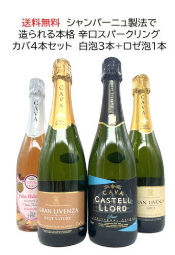 ��2�e�{�i�h�J�o�̂݃Z���N�g    �X�p�[�N�����O4�{�Z�b�g  ���A3�{+���[�A1�{ ���k�C���E��B�E���ꌧ�͕ʓr������������܂��@ �N�[���ւ̏ꍇ�͕ʓr�N�[���֑オ������܂� 